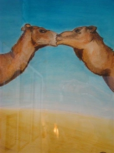 Baiser de chameaux